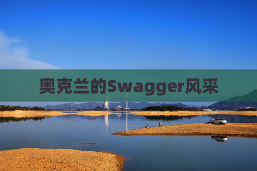 奥克兰的Swagger风采